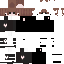 Скин Minecraft «FrostMonaco_0B4C37»