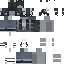 Скин Minecraft «FrostWraith_0BF9A9»