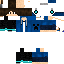 Скин Minecraft «GhostStrider_0C3875»