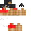 Скин Minecraft «NovaFalcon_110623»
