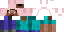 Скин Minecraft «NovaVoyager_11A795»