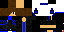 Скин Minecraft «RavenViper_15D0A4»