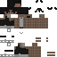 Скин Minecraft «WildGecko_1E9CA5»