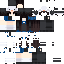 Скин Minecraft «CosmicToshi_258D96»