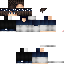 Скин Minecraft «EchoRoamer_295C6B»