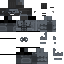 Скин Minecraft «EchoHydra_29E8DB»