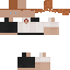Скин Minecraft «NovaScout_31223C»