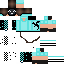 Скин Minecraft «PolarRoamer_340CE9»