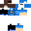 Скин Minecraft «PolarDrifter_34F63E»