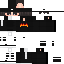 Скин Minecraft «PolarSterling_74D23D»