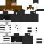 Скин Minecraft «DarkGecko_875C18»