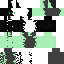 Скин Minecraft «RavenReaper_95B432»