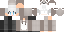 Скин Minecraft «BlazeHaru_A3C840»