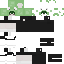 Скин Minecraft «CosmicHydra_A538DE»