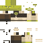 Скин Minecraft «NovaLion_B1DD2C»