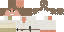 Скин Minecraft «RoguePioneer_B65FAC»