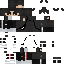 Скин Minecraft «TurboRaven_BCA31C»