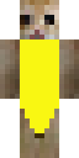 Скин Minecraft «__bunnie_» — вид спереди