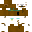 Скин Minecraft «AshLion_C20D64»
