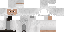 Скин Minecraft «PolarSpawn_D4788C»