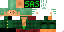 Скин Minecraft «NightAegis_F09AB9»