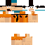 Скин Minecraft «PolarVexa_F4D73F»