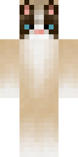 Скин Minecraft «Harvy669» — вид спереди