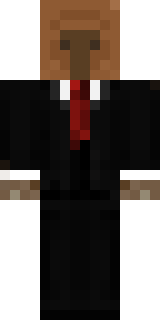 Скин Minecraft «reallyCats» — вид спереди