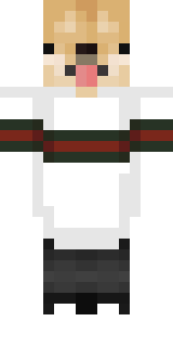 Скин Minecraft «Wiktoria_Prosik» — вид спереди